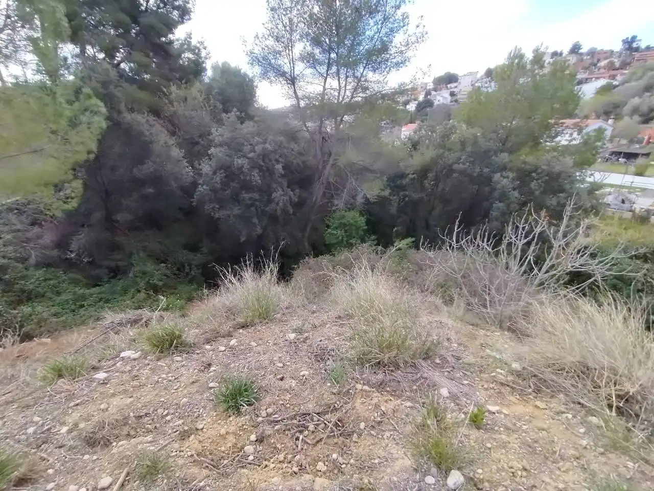 Terreny rústic en venda a Castellnou - Can Mir - Can Solà, imagen 9