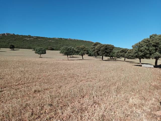 Terreno en Venta en Fernán Caballero