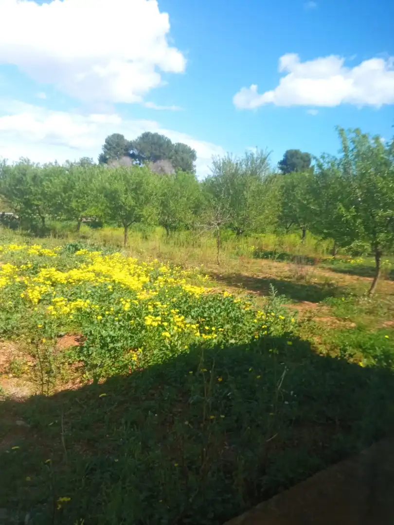 Villa con terrazza in vendita a Plaça Pla del Molí 2, imagen 13