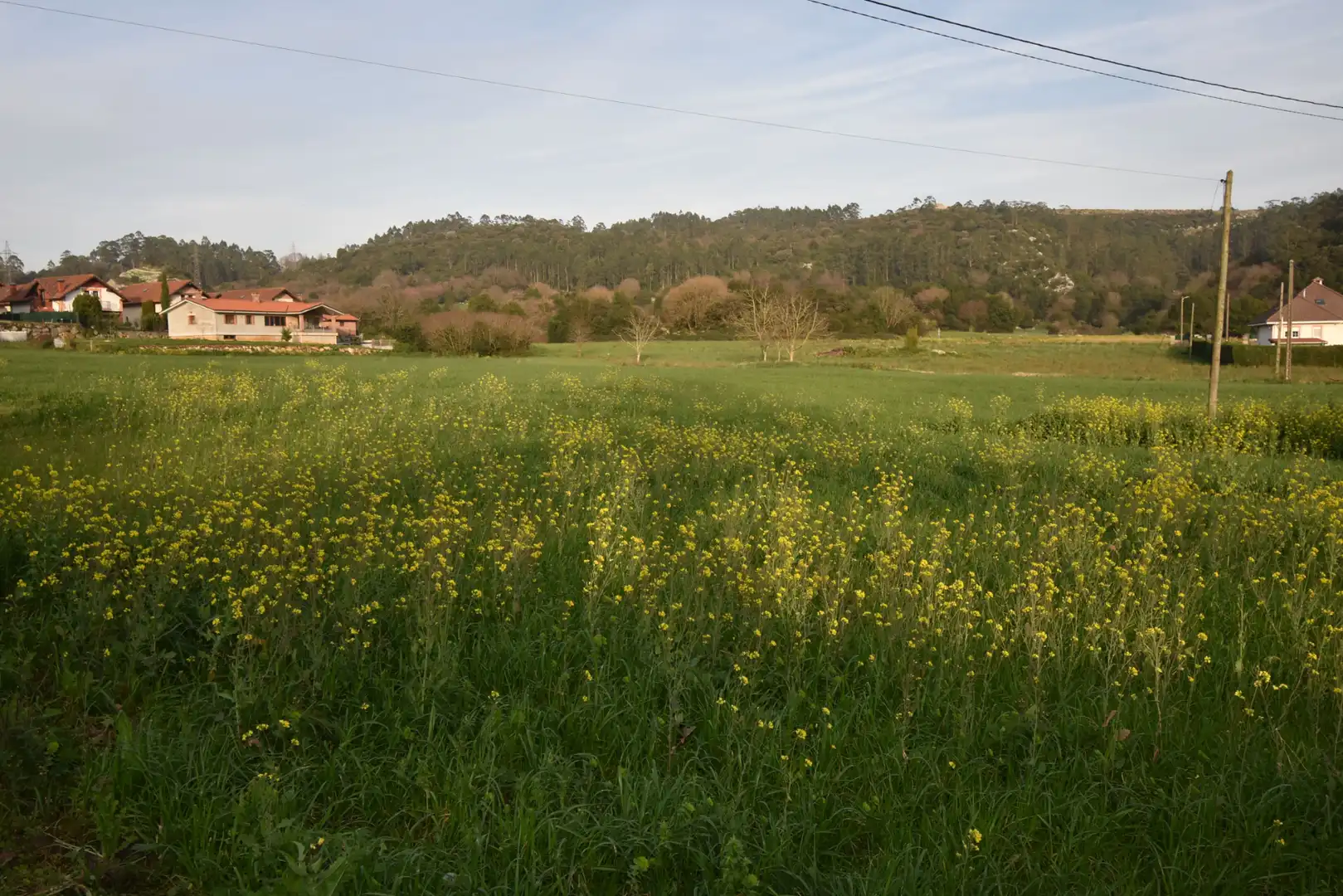 Terreni e lotti in vendita a Arce, imagen 2