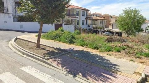 JunTerreno, immagine 2