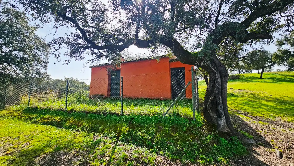 Terreni e lotti in vendita a Santa Olalla del Cala, imagen 6