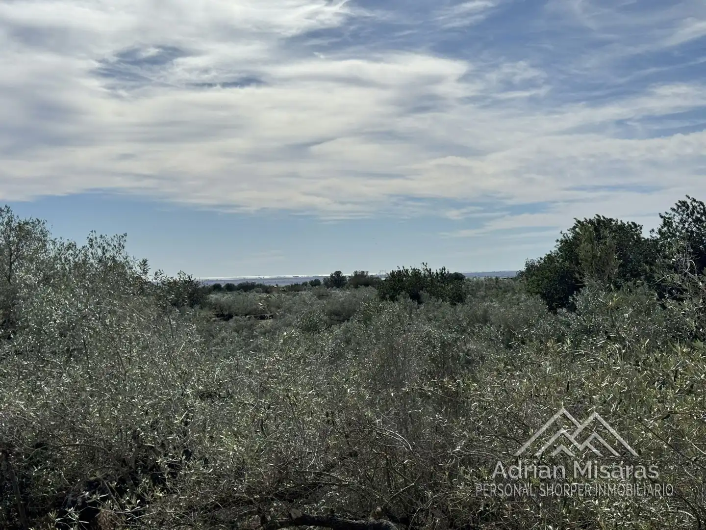 Terreno rústico en venta en L'Aldea, imagen 19