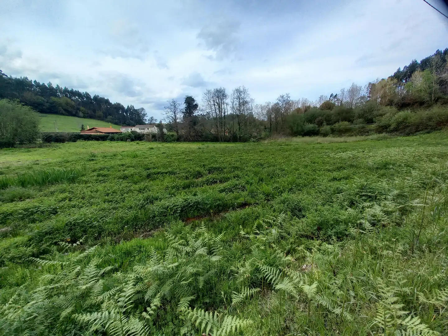 Terreno en venta en N/A, 28, Pillarno