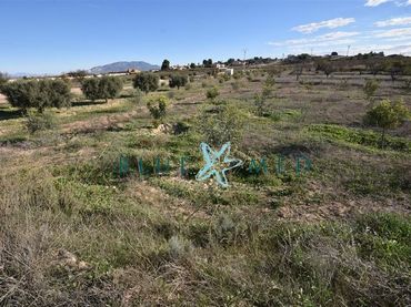Terreno rustico in vendita a Carrer VIÑA LARGA