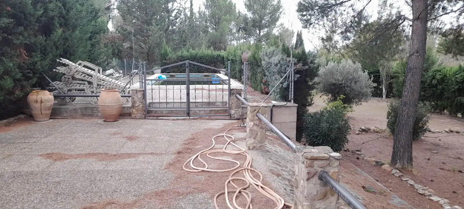 Garden of Industrial land for sale in Calatayud
