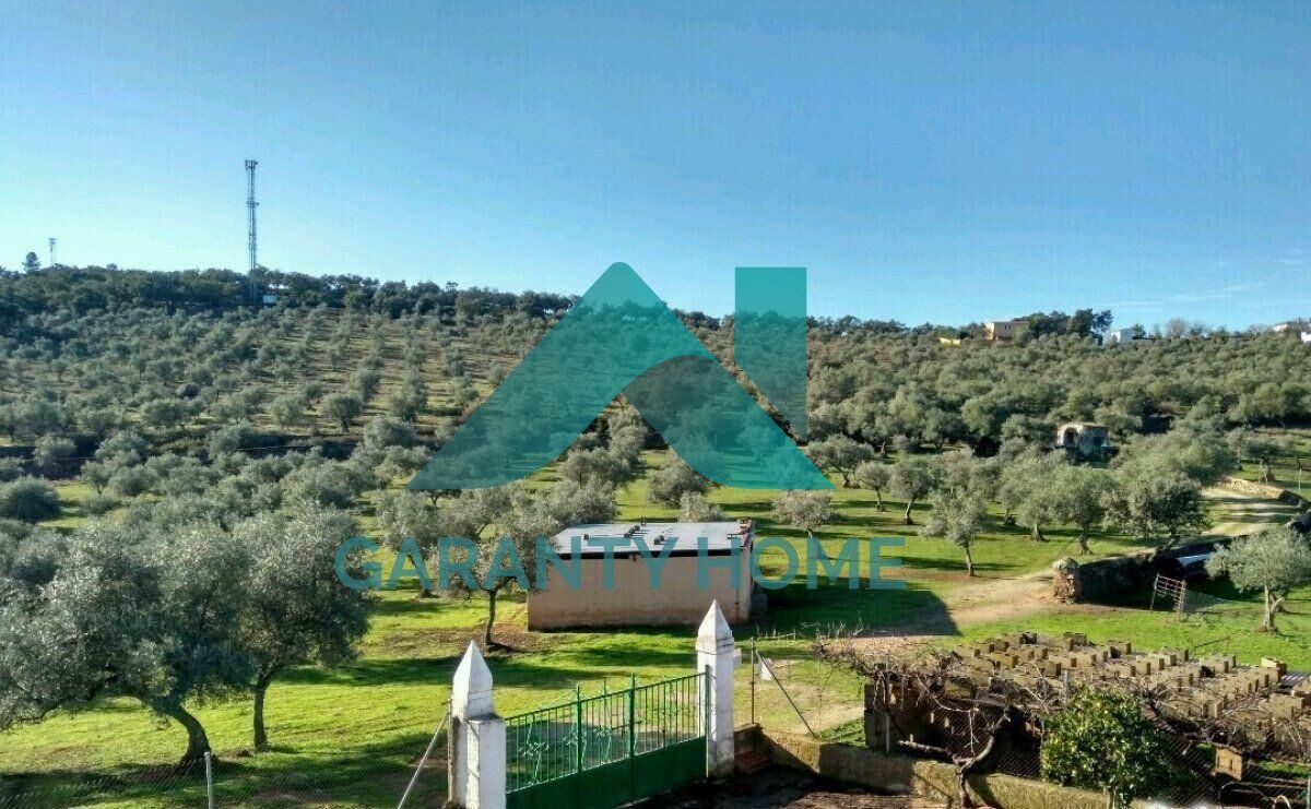 Vista exterior de Finca rústica en venda en Cáceres Capital amb Aire condicionat, Calefacció i Terrassa