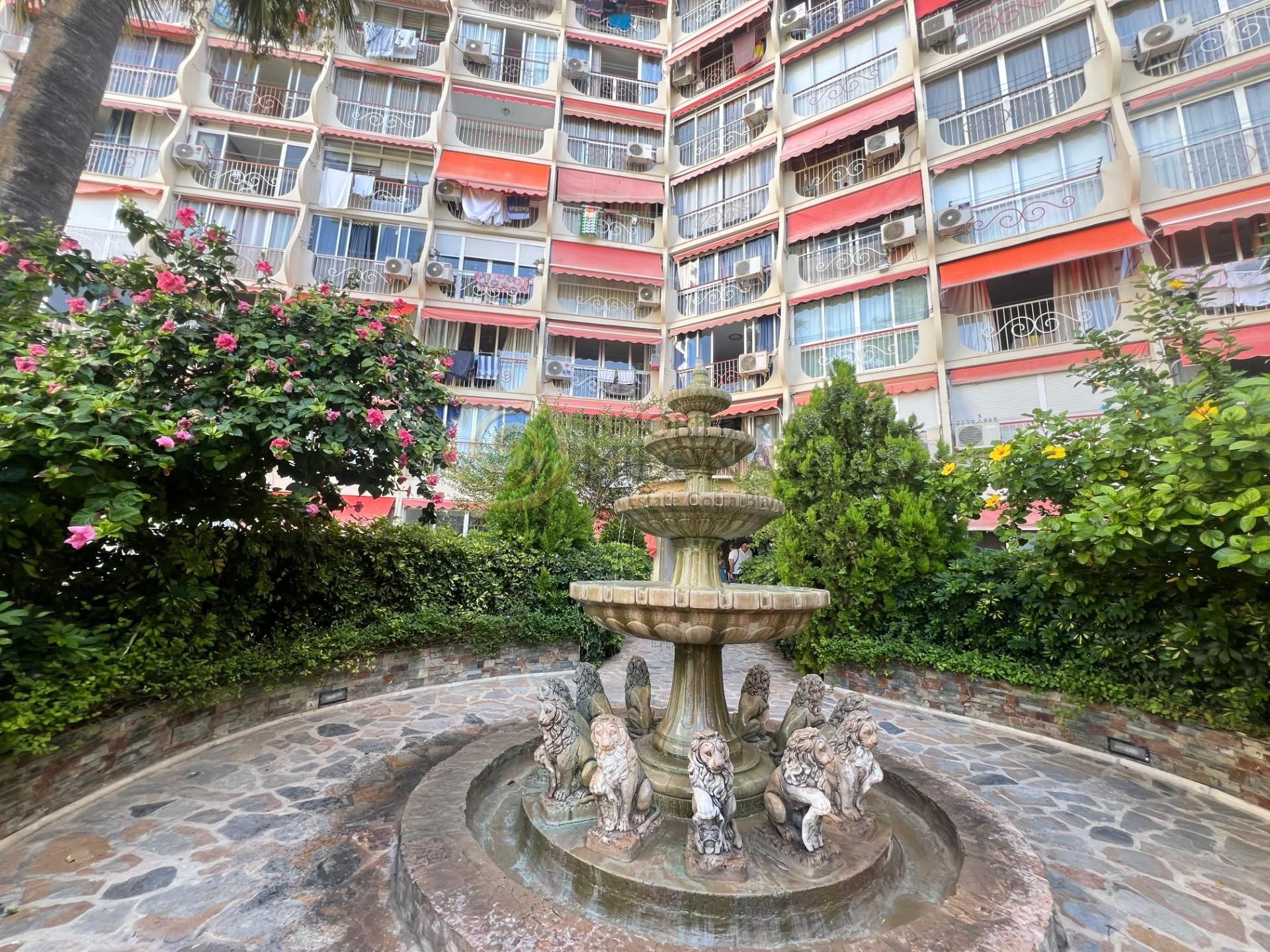 Vista exterior de Apartament en venda en Benidorm amb Jardí privat, Moblat i Piscina comunitària