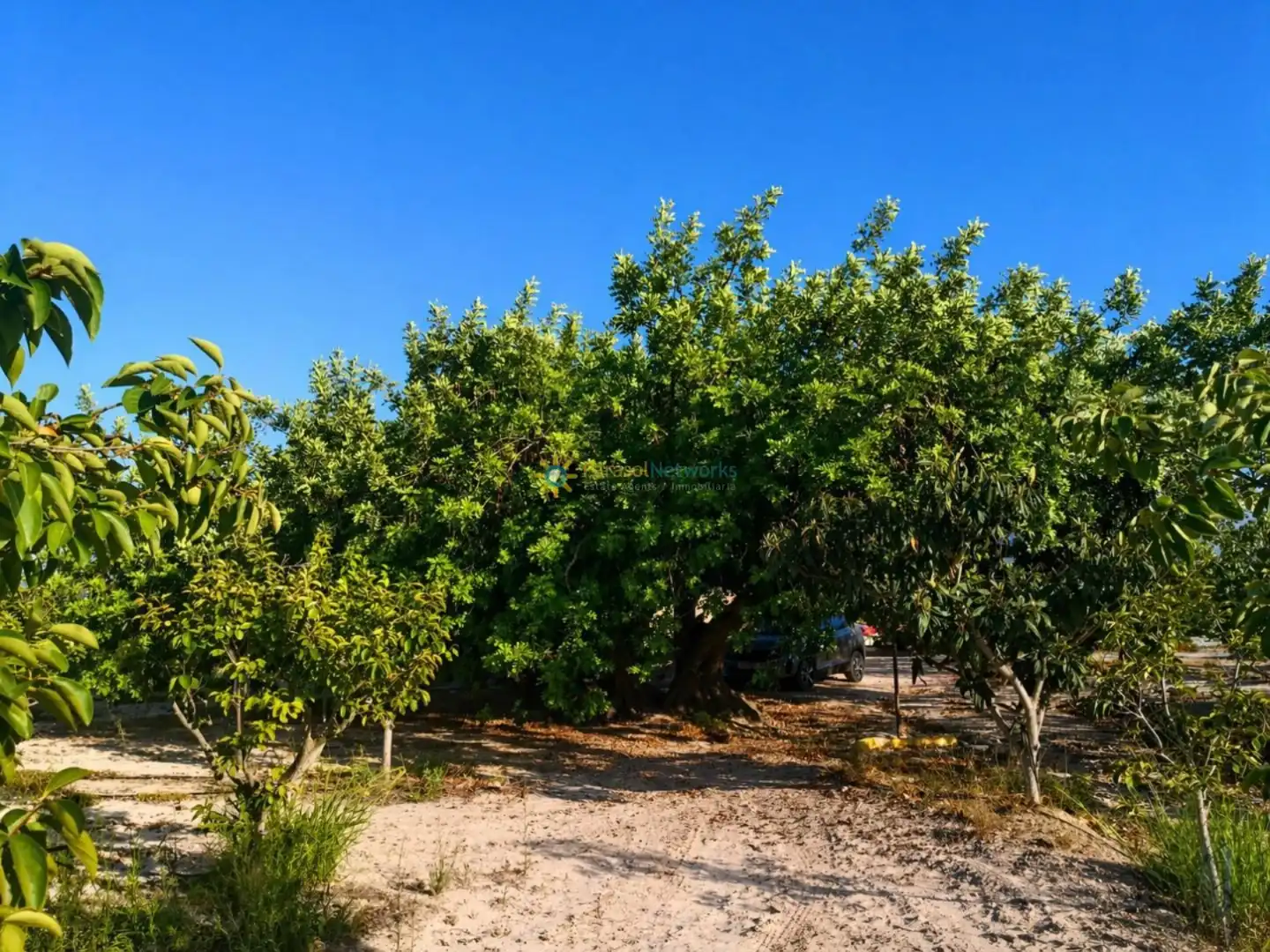 Finca rústica en venta en Albaida con Jardín privado y Trastero