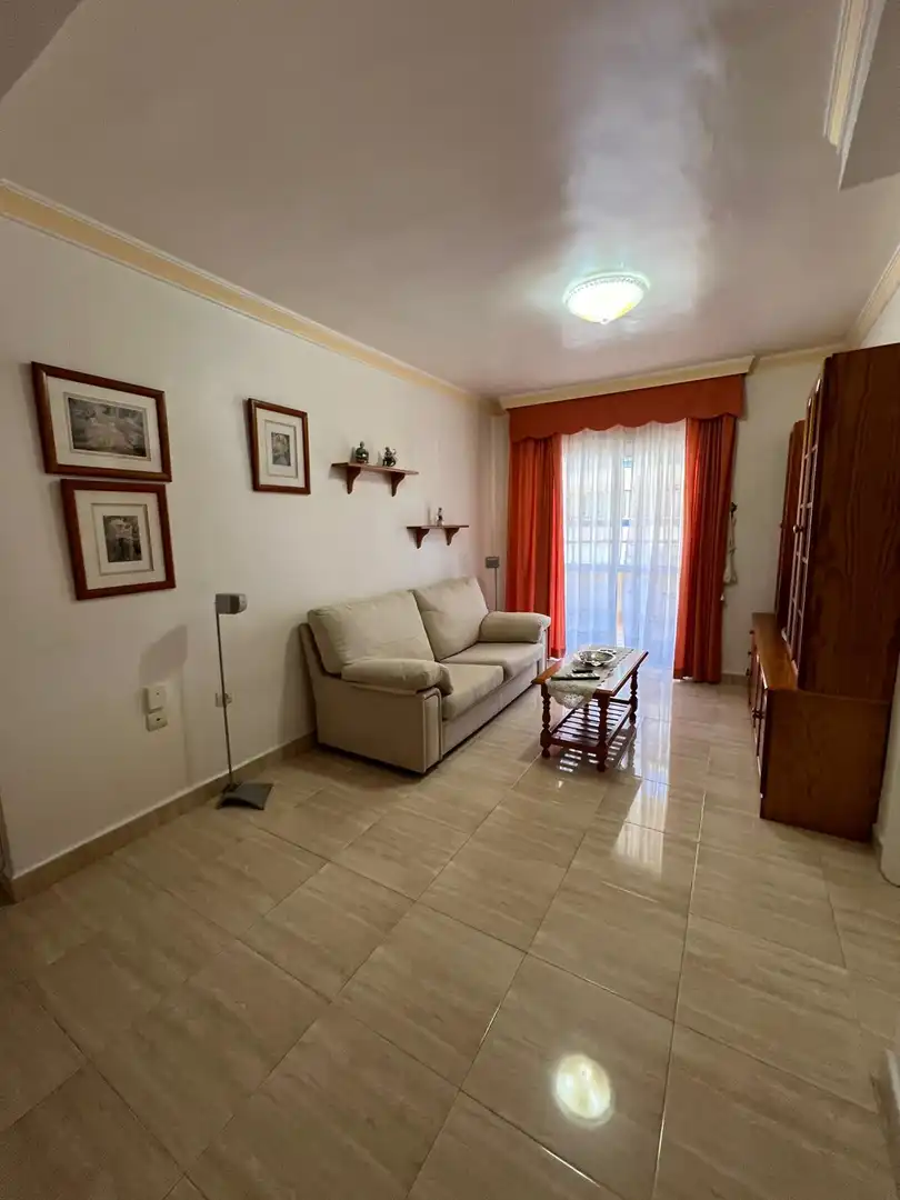 Sala d'estar de Pis en venda en Manilva amb Terrassa