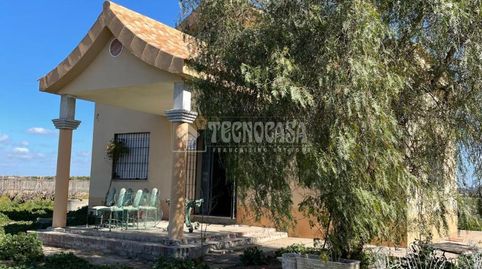 Foto 2 de Finca rústica en venta en Los Palacios y Villafranca, Sevilla