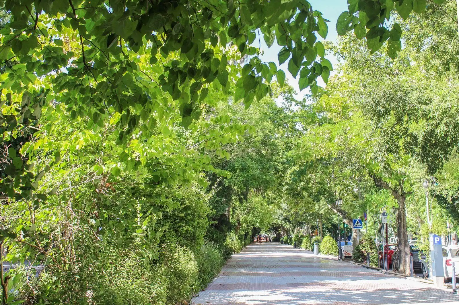 Appartamento con ascensore in vendita a Centro