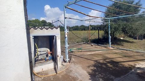 Foto 5 de Finca rústica en venta en Poble, Mont-roig del Camp