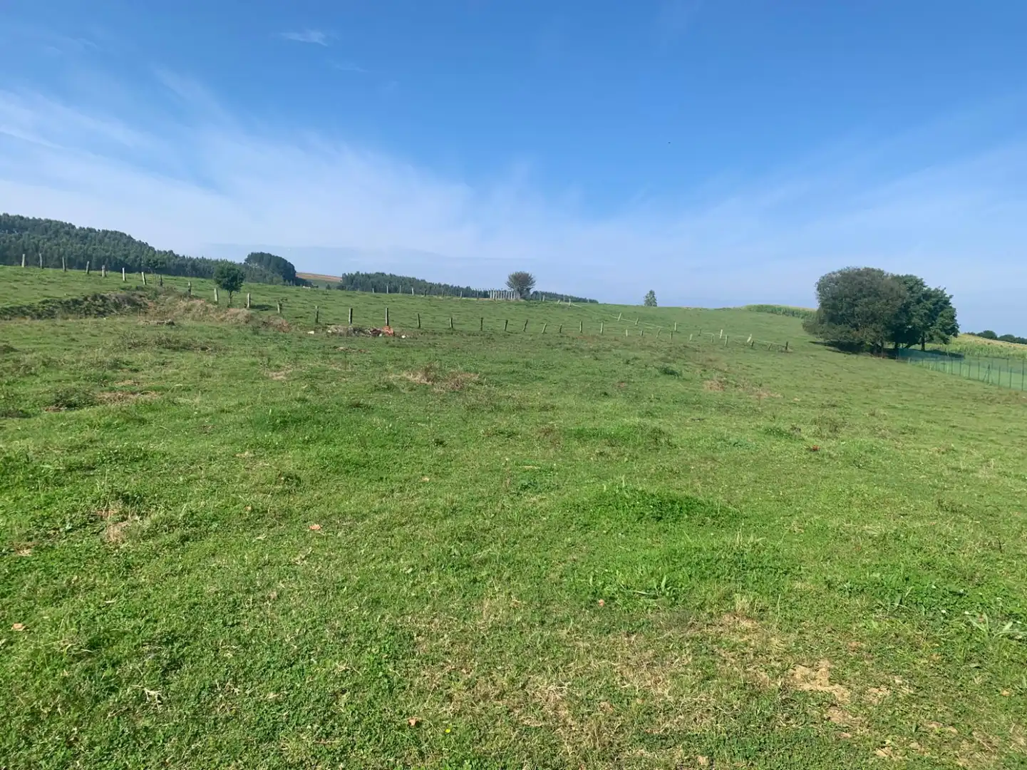 Lands and plots for sale in santiago del monte, imagen 5