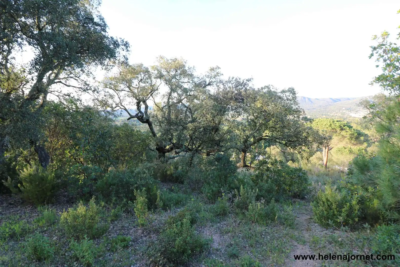 Terreni e lotti in vendita a Golf Costa Brava