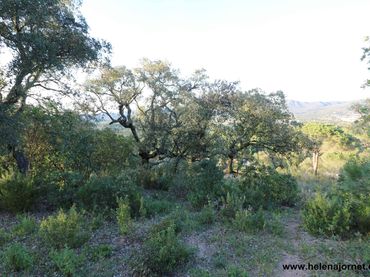 Terrenos y solares en venta en Golf Costa Brava
