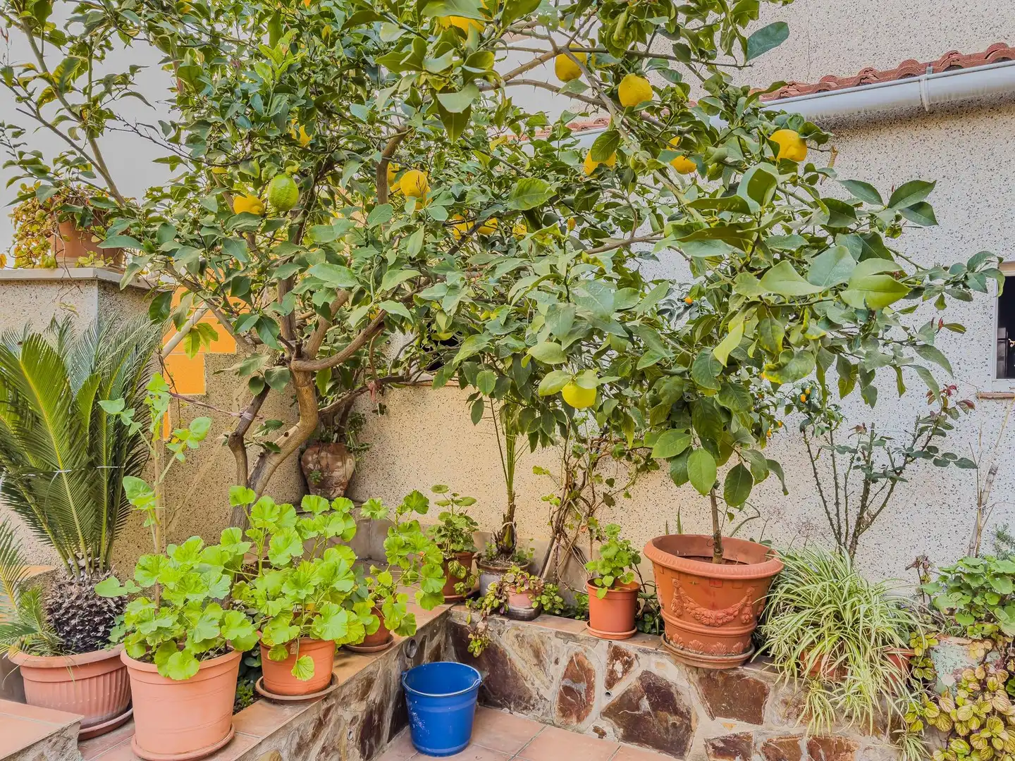 Garden of Houses for sale in Terrassa  with Heating, Terrace and Storage room