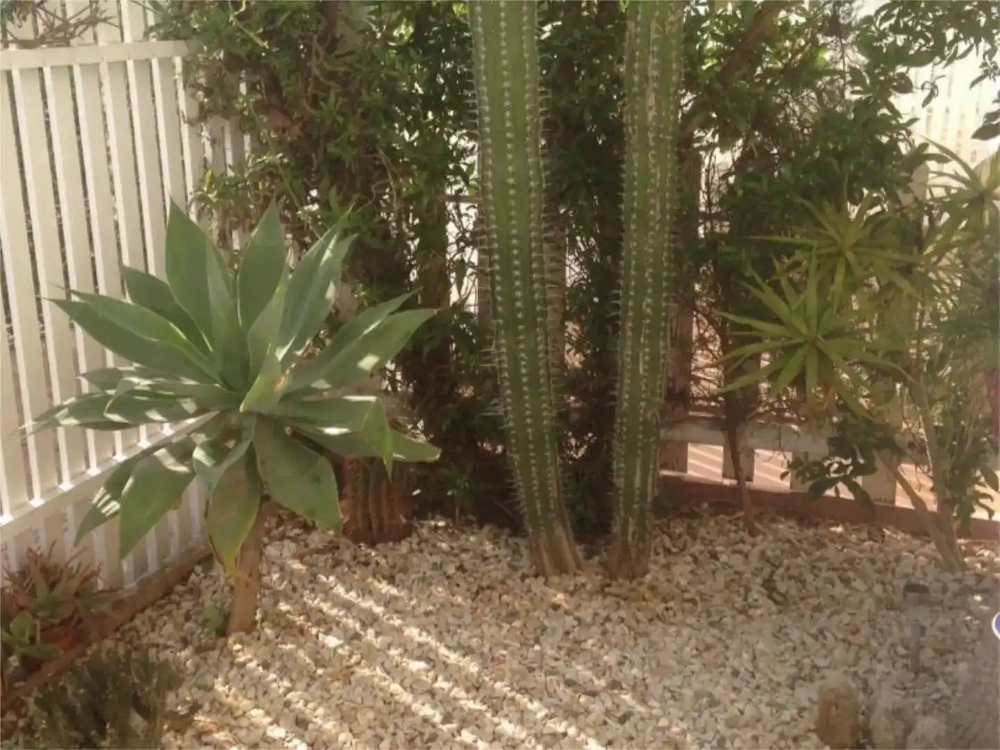 Garten von Maisonette zum Verkauf in Vera mit Klimaanlage und Schwimmbad