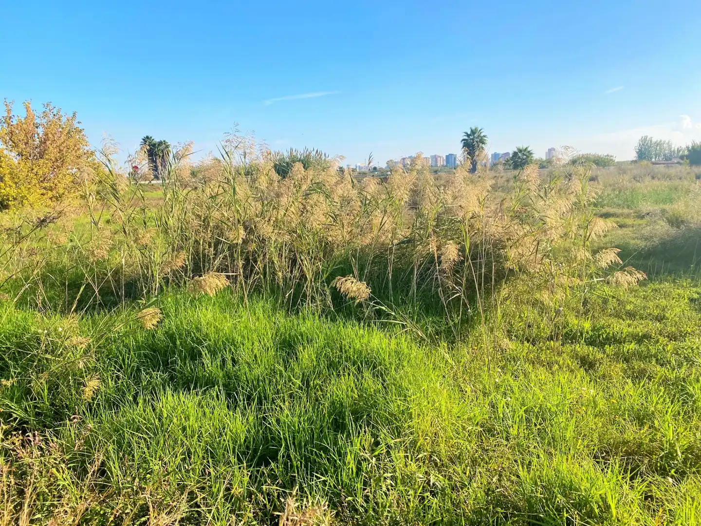 Terreno rustico in vendita a Carrer Estació 3, imagen 12