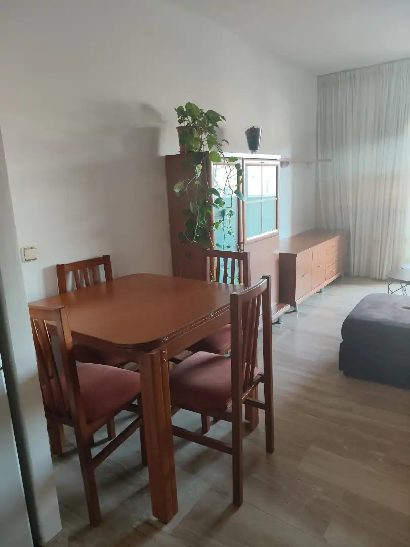 Piso de alquiler en Avinguda de Roma, 21, Nou Eixample Nord