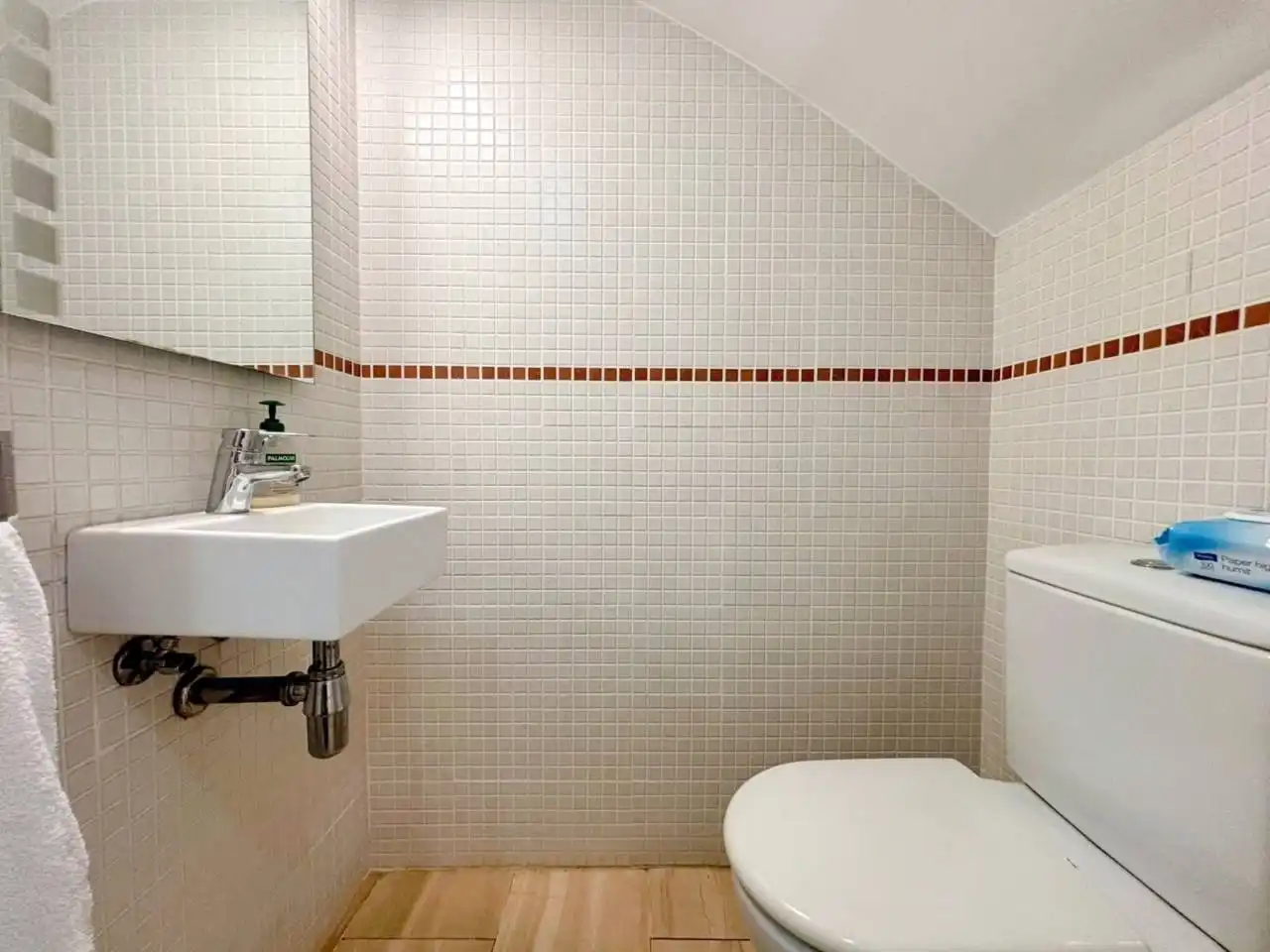 Baño de Dúplex en venta en Martinica – Ateneu