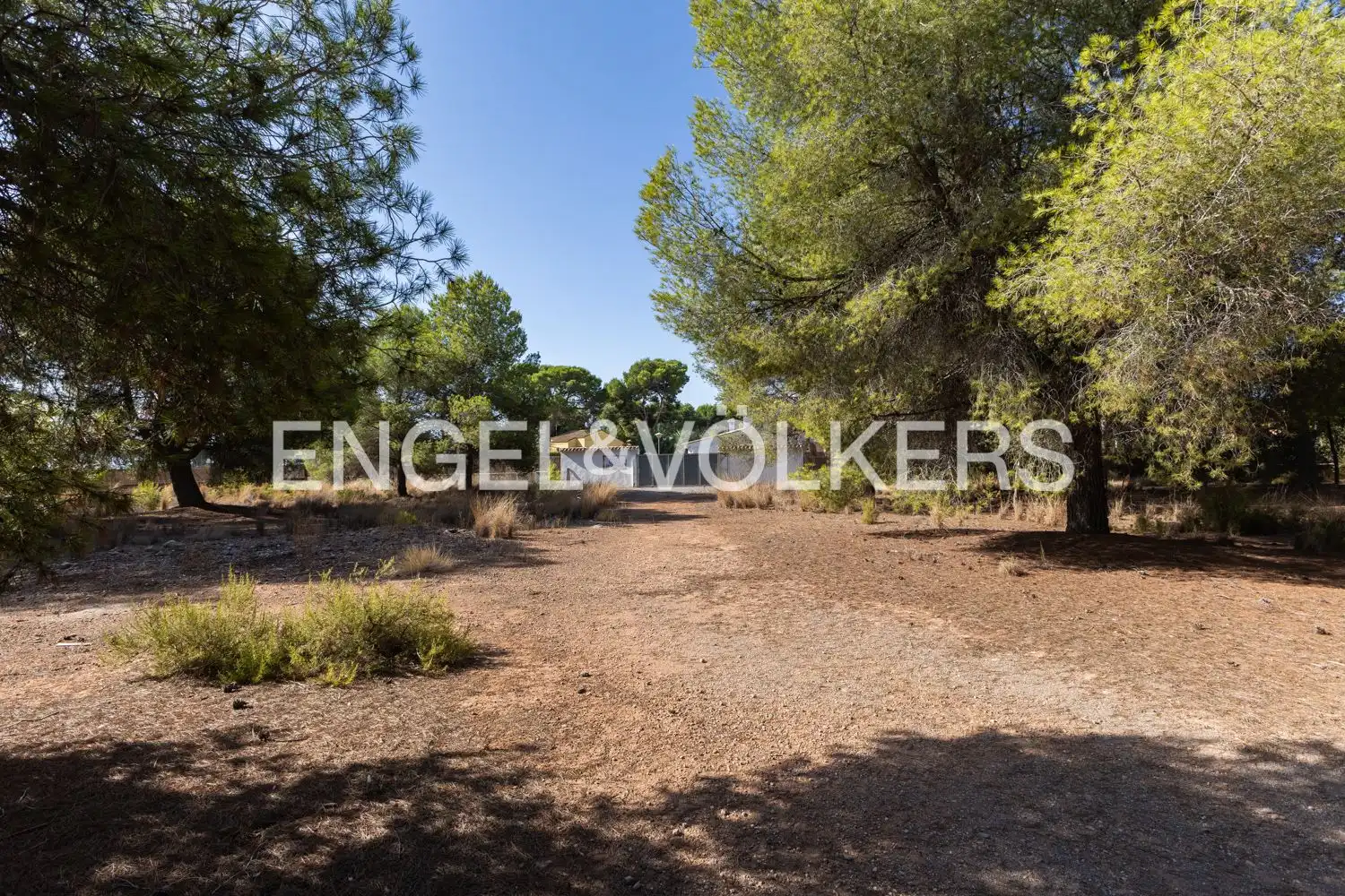 Casa con terrazza in vendita a Los Pinares - La Masia, imagen 25