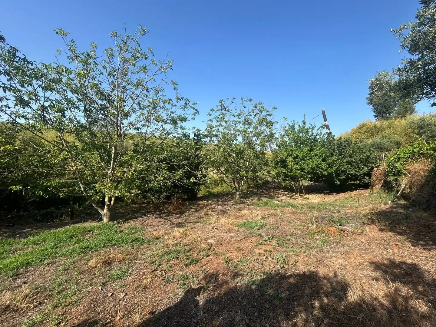 Rural land for sale in Torre de Don Miguel, imagen 11
