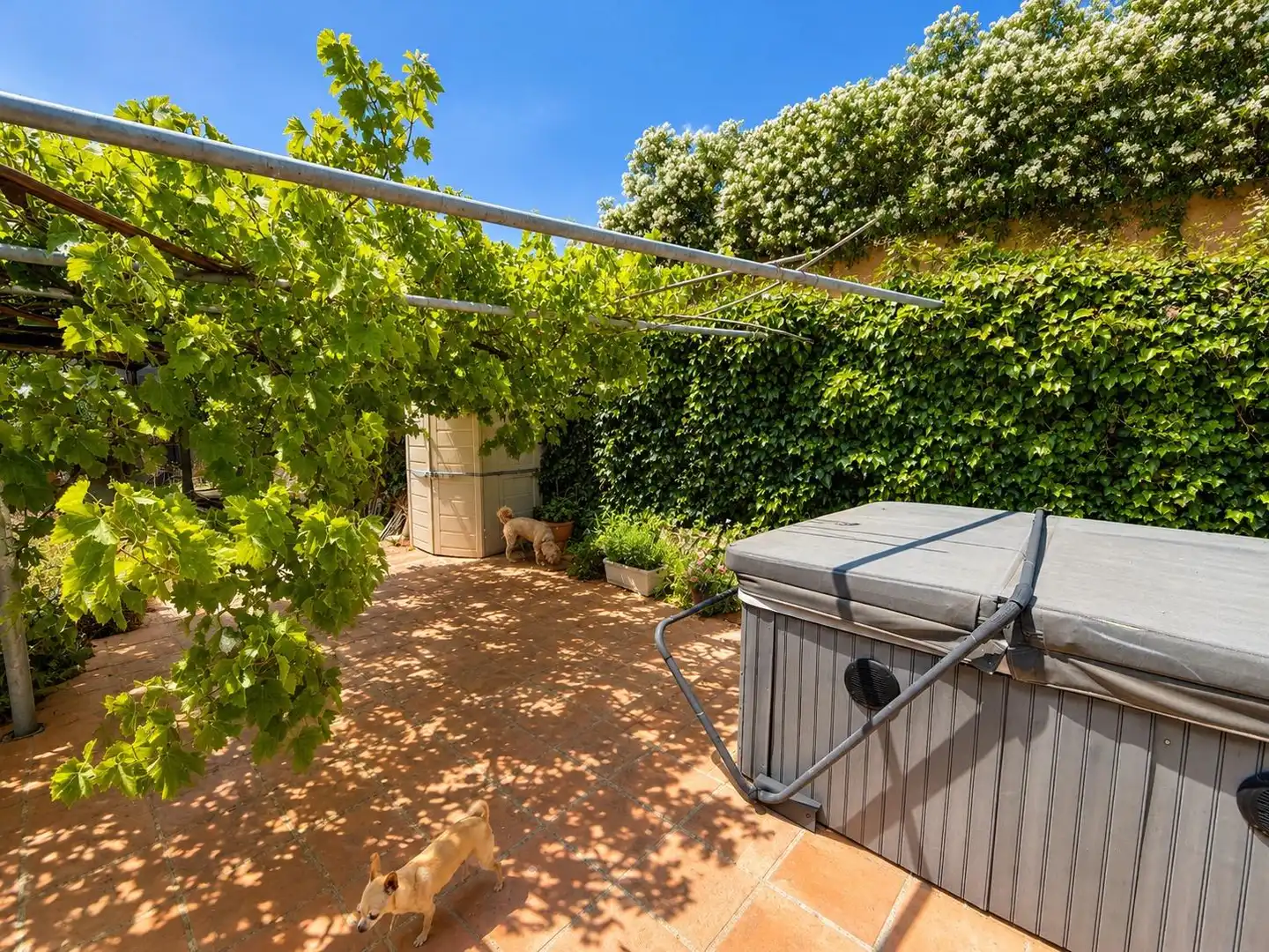 Casa amb piscina en venda a Camino Diseminado Reinoso, imagen 18