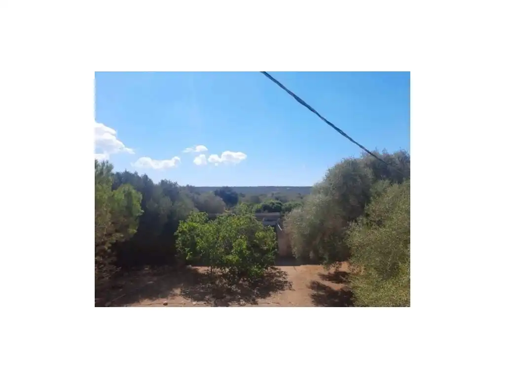 Maison rustique à vendre à Diseminados Son Trompa, imagen 17