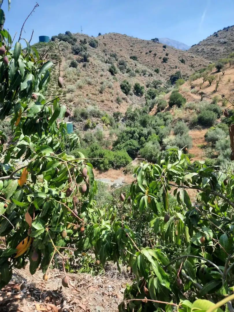 Terrenys i solars en venda a Canillas de Aceituno, imagen 7