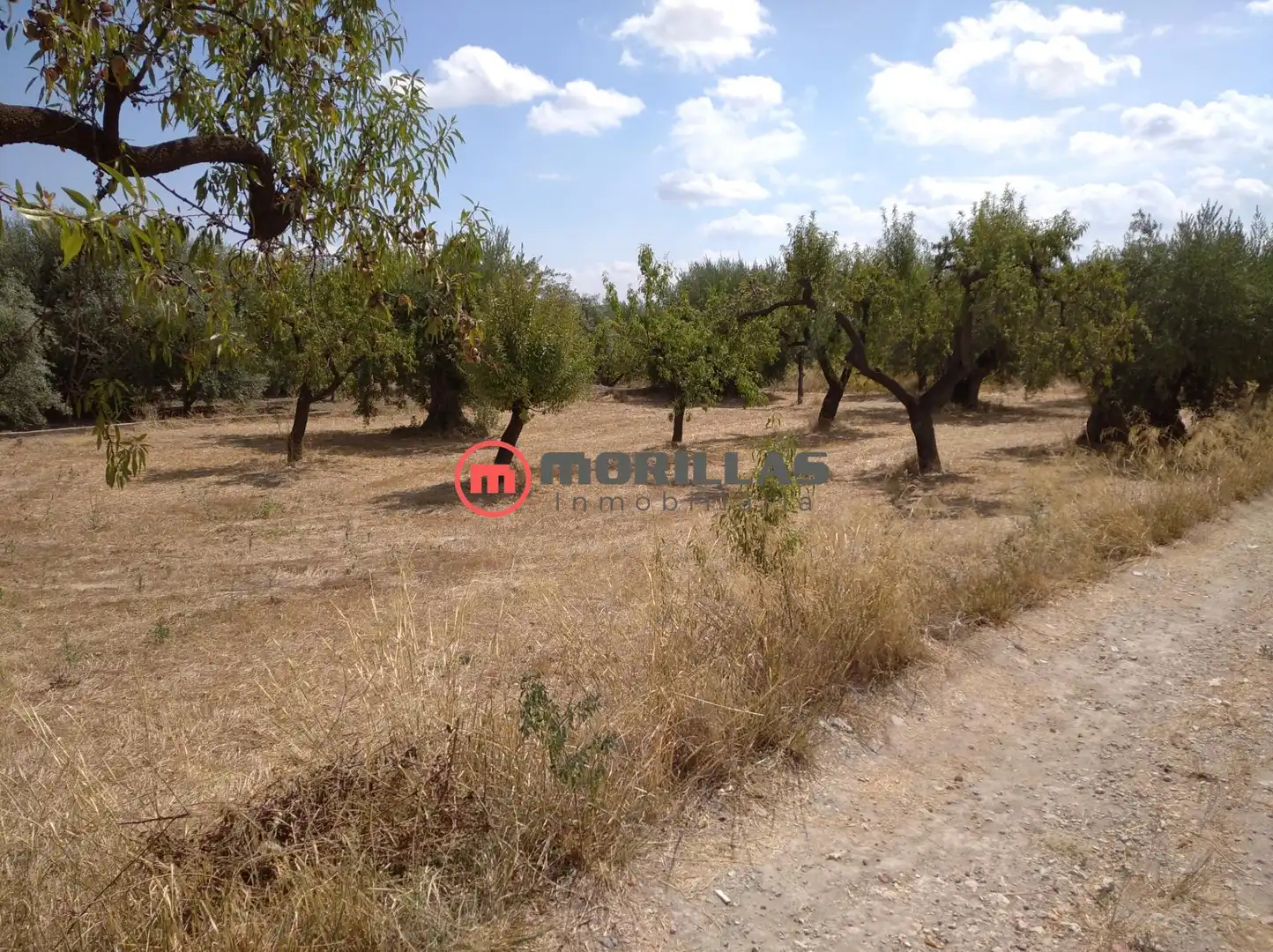 Residencial en venda en Moratalla
