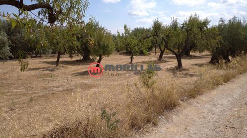 Foto 5 de Residencial en venda a Calle Medicos Sin Fronteras, 17, Moratalla, Murcia