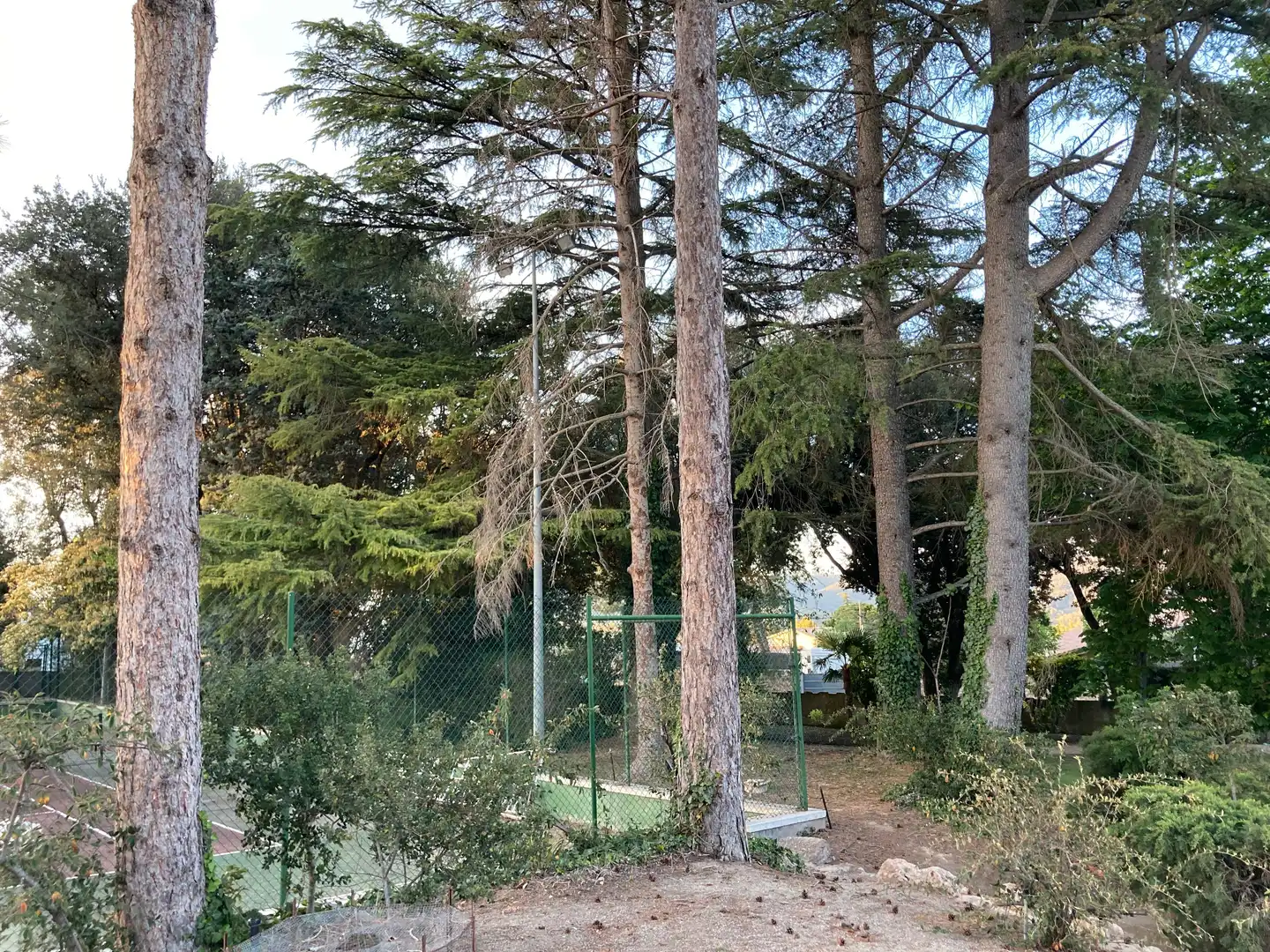 Terreny residencial en venda a La Pobla de Claramunt, imagen 6