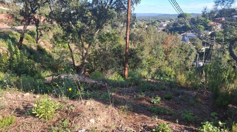 Foto 4 de Residencial en venda a Montbarbat, Maçanet de la Selva