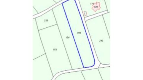 Se vende finca al lado de Celanova superficie 5.500 metros, immagine 4