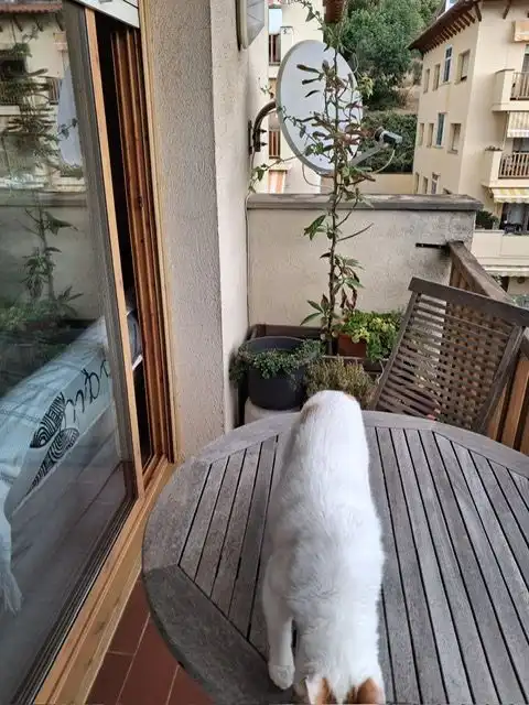Terraza de Piso en venta en Vilassar de Dalt con Calefacción y Terraza