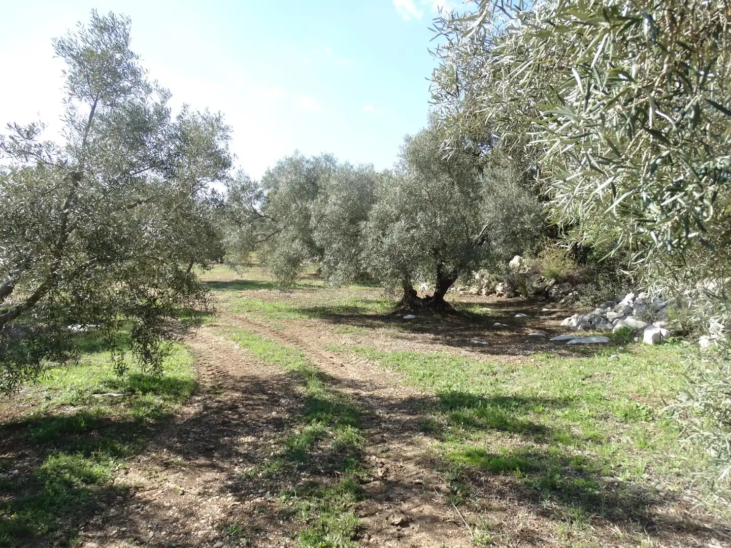 Rustikales Grundstück zum Verkauf in Villanueva del Rosario, imagen 9