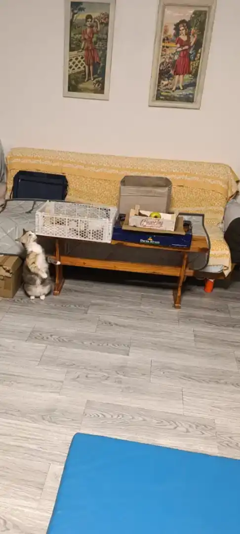 Piso en venta en Murcia con Aire acondicionado, Jardín privado y Parquet