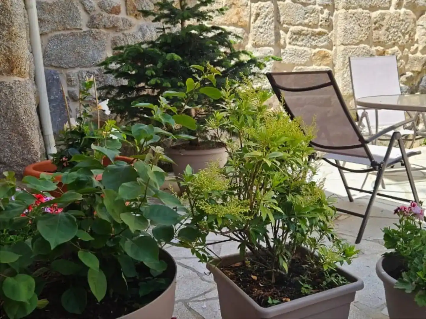 Terraza de Casa o chalet en venta en A Lama   con Jardín privado y Amueblado