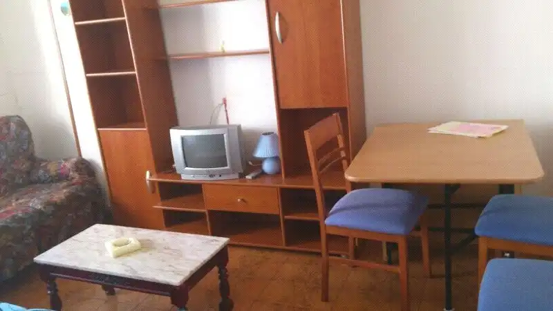 Sala d'estar de Pis de lloguer en Zaragoza amb Calefacció, Parquet i Moblat