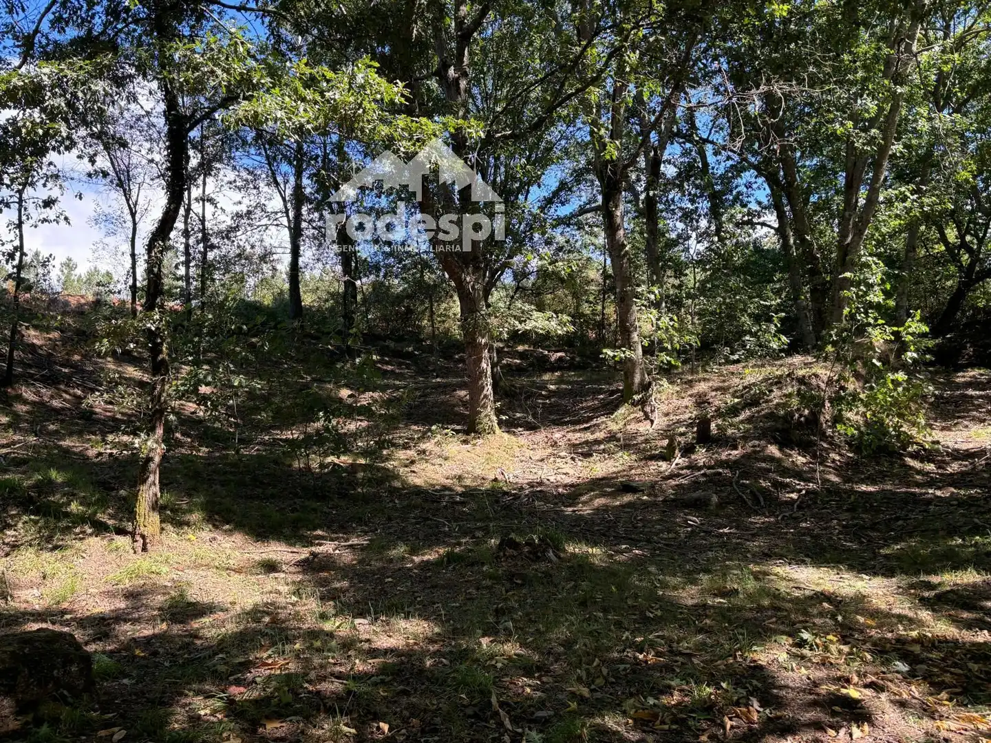 Terreny rústic en venda a A Cañiza, imagen 19