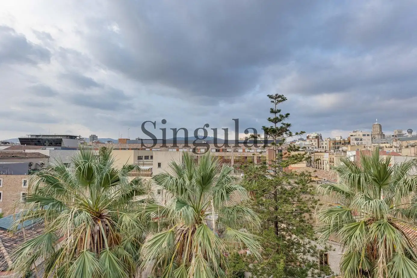 Wohnung mit Terrasse zum Verkauf in Carrer del Notariat, imagen 3