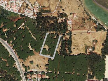 Terreni e lotti in vendita a Barbate ciudad