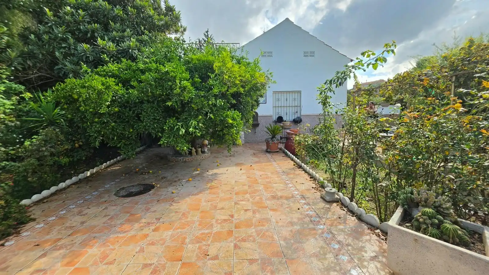 Vista exterior de Finca rústica en venta en Ceutí
