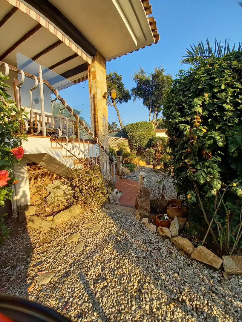 Jardí de Casa o xalet en venda en Sant Feliu de Guíxols amb Jardí privat, Piscina i Moblat