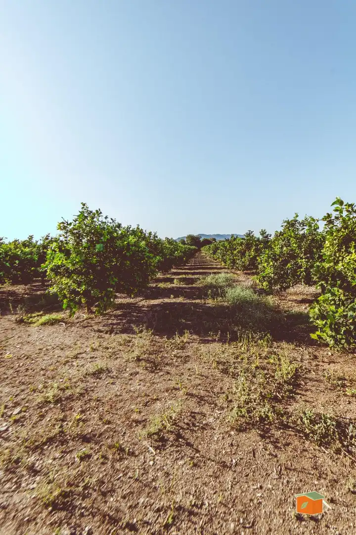 Finca rústica en venta en Santa Bàrbara con Trastero y Amueblado