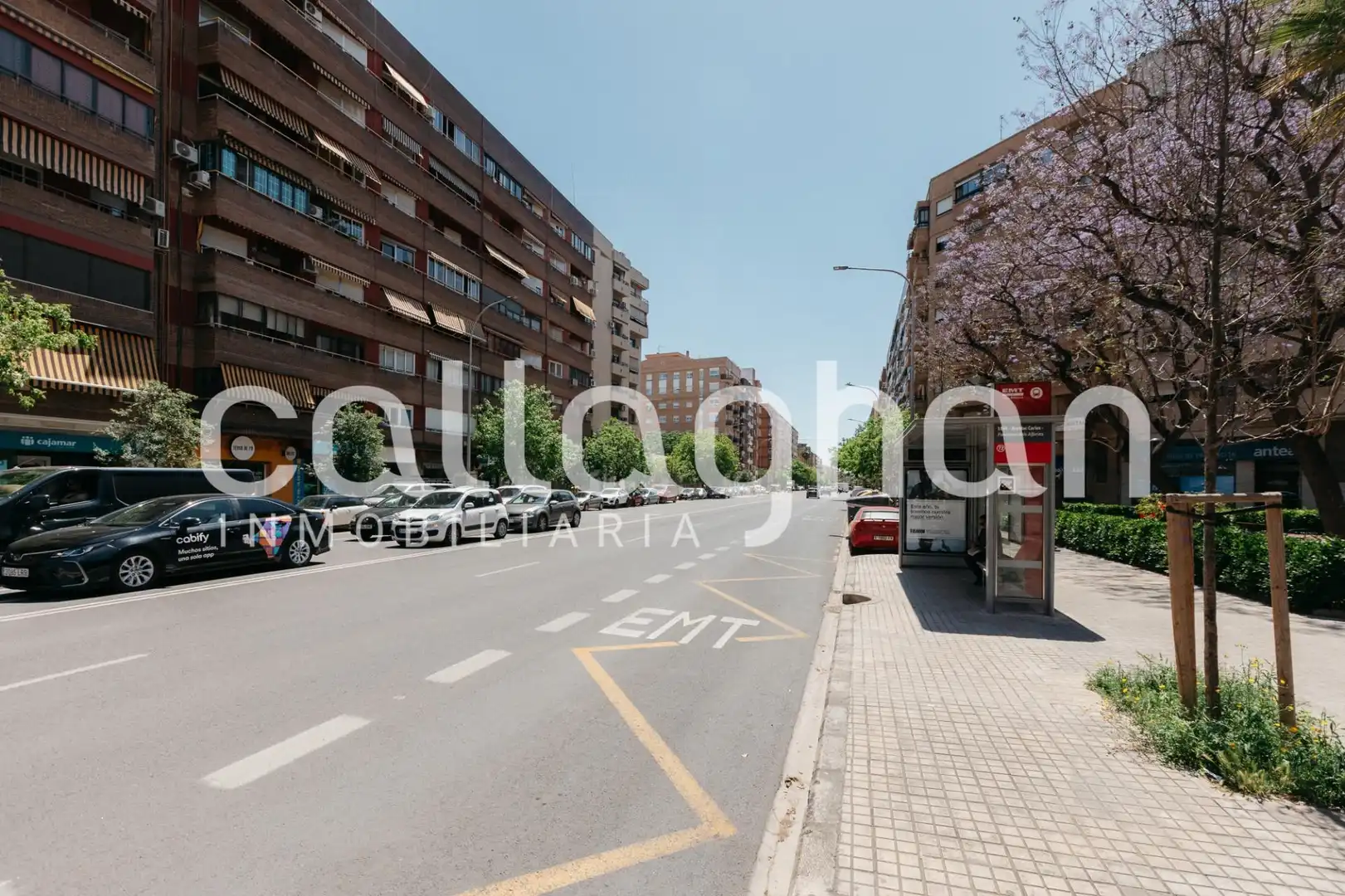 Local en venta en Calle LEOPOLDO PILES ROS, Vara de Quart