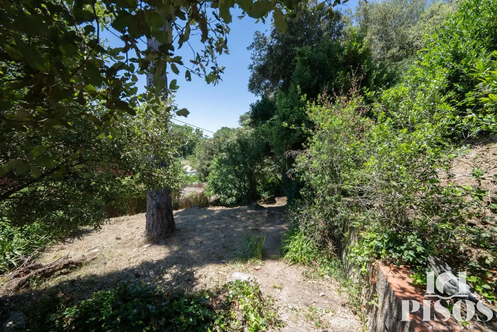 Jardí de Casa o xalet en venda en Sant Cugat del Vallès amb Aire condicionat, Calefacció i Jardí privat