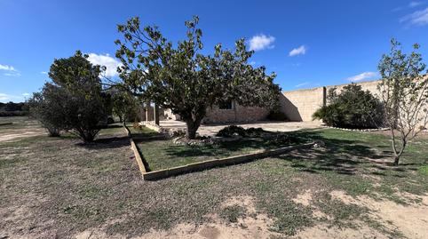 Photo 5 of Land for sale in A-31, Cabanes y Las Fuentes, Alicante