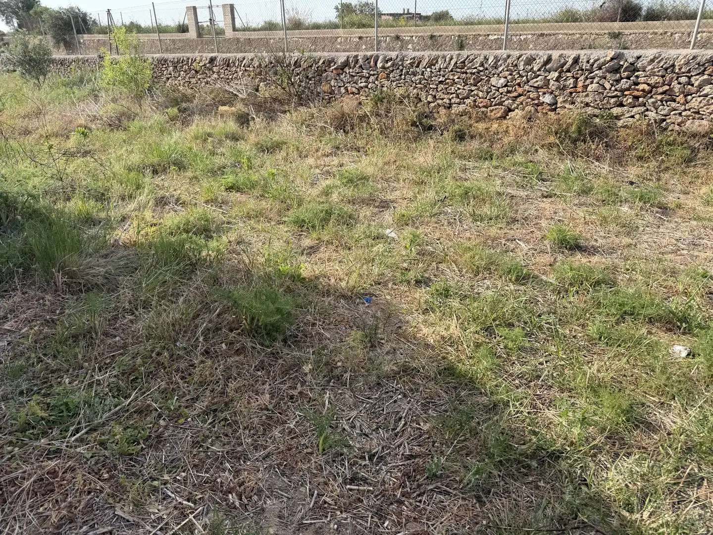 Land for sale in Alcossebre